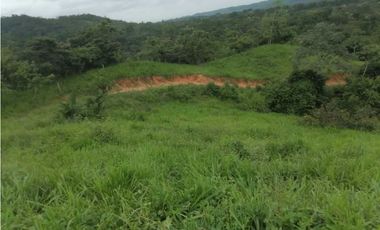 FINCA EN CHEPO CAÑITAS 50 HÉCTAREAS