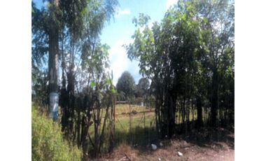 SEA CONFIABLE VENDE TERRENO EN LA COMUNIDAD DE EL BARRERO, PESÉ