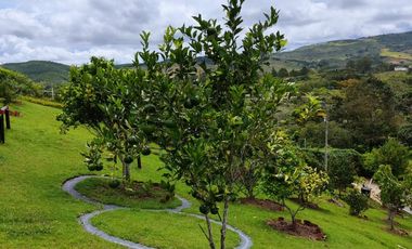 finca en venta en pavitas. Cod V13949