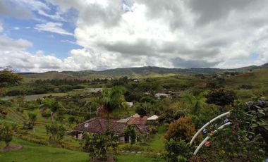 finca en venta en pavitas. Cod V13949