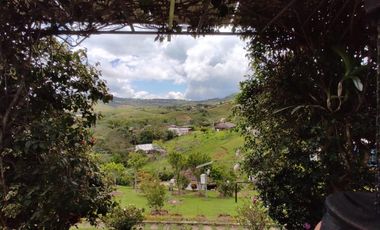 finca en venta en pavitas. Cod V13949