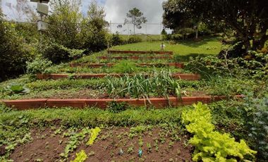 finca en venta en pavitas. Cod V13949