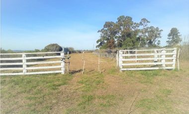 Venta de Campo, 46 hectáreas. La Picada