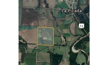 Venta de Campo, 46 hectáreas. La Picada