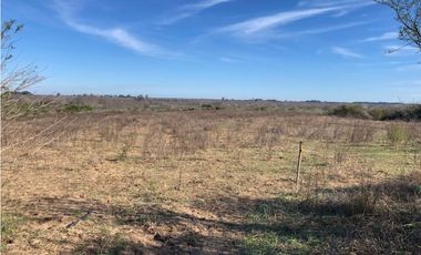 Venta de Campo, 46 hectáreas. La Picada