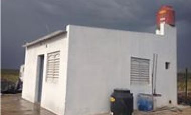 VENTA CAMPO DE CRIA DE 2677 HECTAREAS EN PUELCHES LA PAMPA