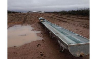 VENTA CAMPO DE CRIA DE 2677 HECTAREAS EN PUELCHES LA PAMPA