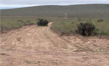 VENTA CAMPO DE CRIA DE 2677 HECTAREAS EN PUELCHES LA PAMPA