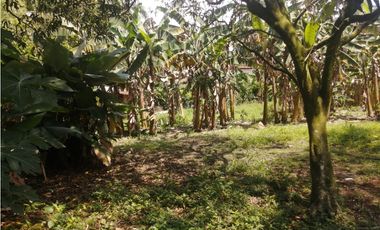 LOTE VIA POTRERITO