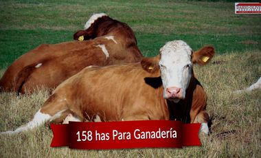 Venta Campo ganadero Los Conquistadores