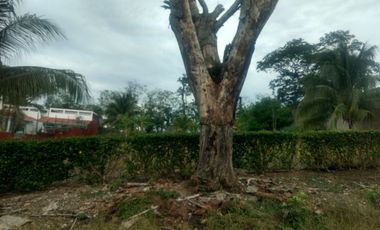 LOTE EN VENTA EN LA PALMA VILLAHERMOSA