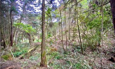 Venta Lote Parcelacion Retiro INMERSO EN BOSQUE Y QUEBRADA