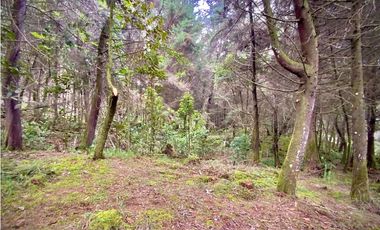 Venta Lote Parcelacion Retiro INMERSO EN BOSQUE Y QUEBRADA