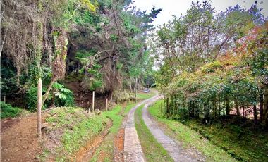 Venta Lote Parcelacion Retiro INMERSO EN BOSQUE Y QUEBRADA