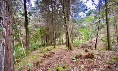Venta Lote Parcelacion Retiro INMERSO EN BOSQUE Y QUEBRADA
