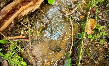 Venta Lote Parcelacion Retiro INMERSO EN BOSQUE Y QUEBRADA