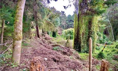 Venta Lote Parcelacion Retiro INMERSO EN BOSQUE Y QUEBRADA