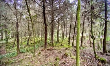 Venta Lote Parcelacion Retiro INMERSO EN BOSQUE Y QUEBRADA