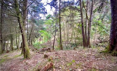 Venta Lote Parcelacion Retiro INMERSO EN BOSQUE Y QUEBRADA