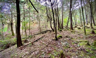 Venta Lote Parcelacion Retiro INMERSO EN BOSQUE Y QUEBRADA