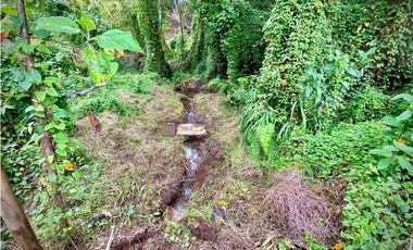 Venta Lote Parcelacion Retiro INMERSO EN BOSQUE Y QUEBRADA