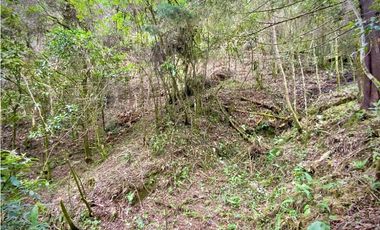 Venta Lote Parcelacion Retiro INMERSO EN BOSQUE Y QUEBRADA