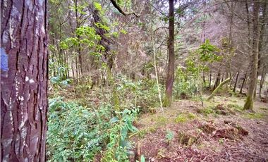 Venta Lote Parcelacion Retiro INMERSO EN BOSQUE Y QUEBRADA