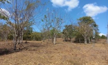 Terreno en venta vía al Valle de Antón, San Carlos
