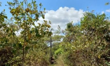 Terreno en venta vía al Valle de Antón, San Carlos