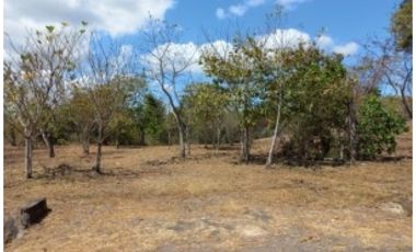 Terreno en venta vía al Valle de Antón, San Carlos