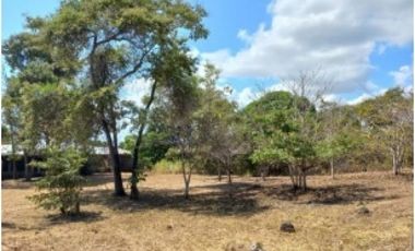 Terreno en venta vía al Valle de Antón, San Carlos
