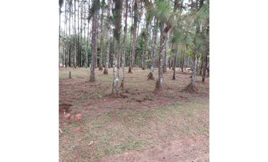 Terreno venta en Panamá, Chilibre