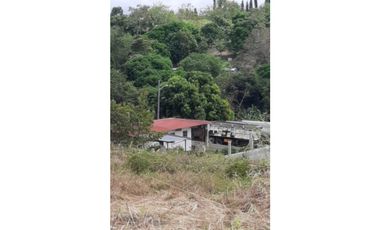 VENDEN LOTES  CABUYITA EN LA 24 DE DICIEMBRE
