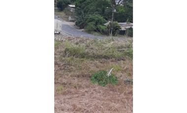 VENDEN LOTES  CABUYITA EN LA 24 DE DICIEMBRE