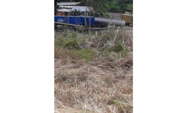 VENDEN LOTES  CABUYITA EN LA 24 DE DICIEMBRE