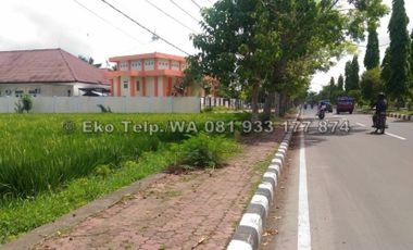 Tanah Jalan Lingkar Selatan dekat Kantor BNN Kota Mataram