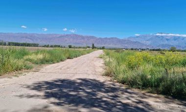 Hermosa finquita de 6 hectareas inculta en el Valle de Uco, Mendoza al pie de la montaÃ±a, con derecho de riego.