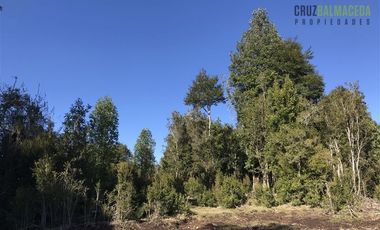 Terreno Construccion  en Venta en Parcela de 19.800 mt2 a orilla de camino Sector Las Marcas