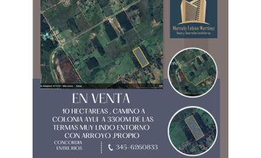 10 hectáreas a 3300 m de las termas de Concordia