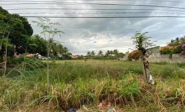 2-Hectare Lot for Sale in Dumaguete