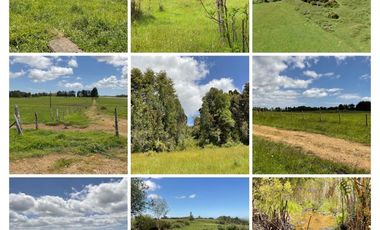 Parcela en Venta en Campo 