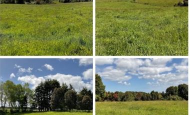 Parcela en Venta en Campo 