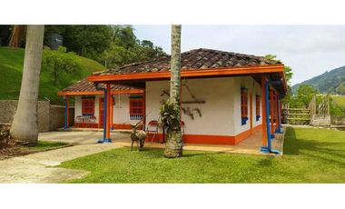 VENTA  DE FINCA EN  AMAG - SUROESTE ANTIOQUEÑO