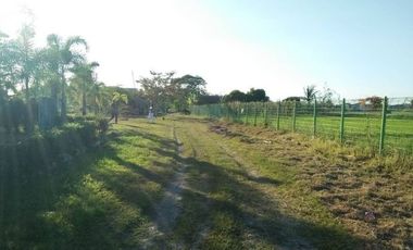 2.3 hectares House and Lot for Sale with church in Tarlac City