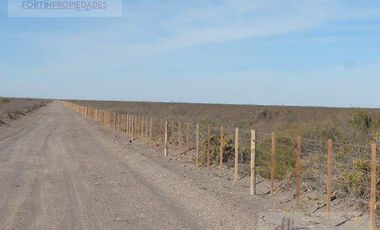 5000 hectareas en venta en La Pampa