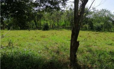 VENDO FINCA EN CAPIRA 4 HECTREAS 3856MTS