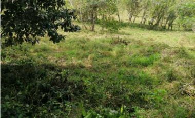 VENDO FINCA EN CAPIRA 4 HECTREAS 3856MTS