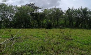 VENDO FINCA EN CAPIRA 4 HECTREAS 3856MTS