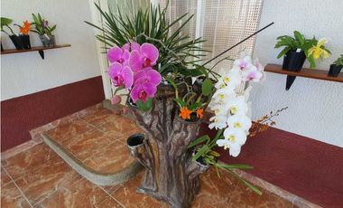 Agradable Finca En Venta rea 19.000 m2 Vda.Santa Barbara Arbeláez.