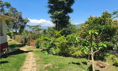 Agradable Finca En Venta rea 19.000 m2 Vda.Santa Barbara Arbeláez.